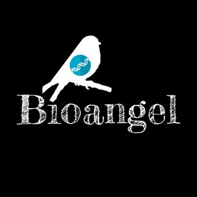 Bioangel