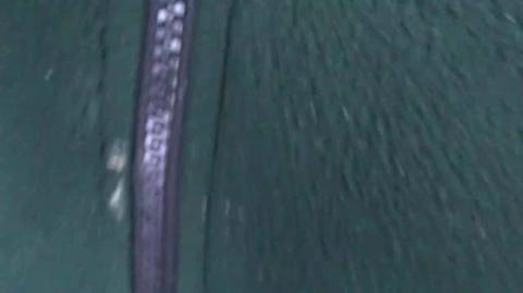 577 Why Masculists Feel Frustrated by MGTOWs  (Masculism, MGTOW)