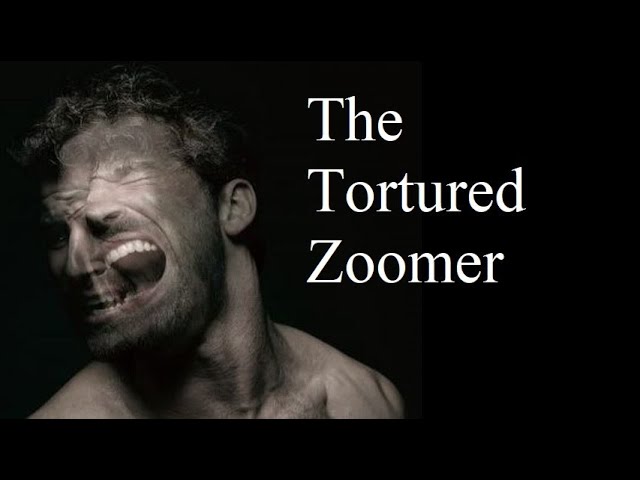 The Mentally Tortured Life of a Zoomer