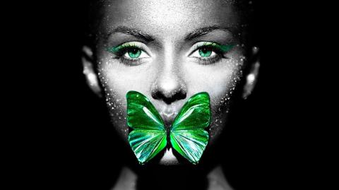 Why Whamen Will Eat Zee Bugs - MGTOW