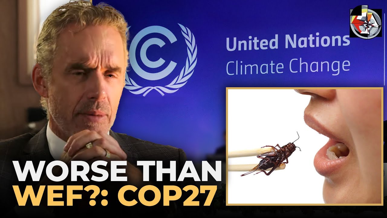 This May Dictate What You Eat: COP27