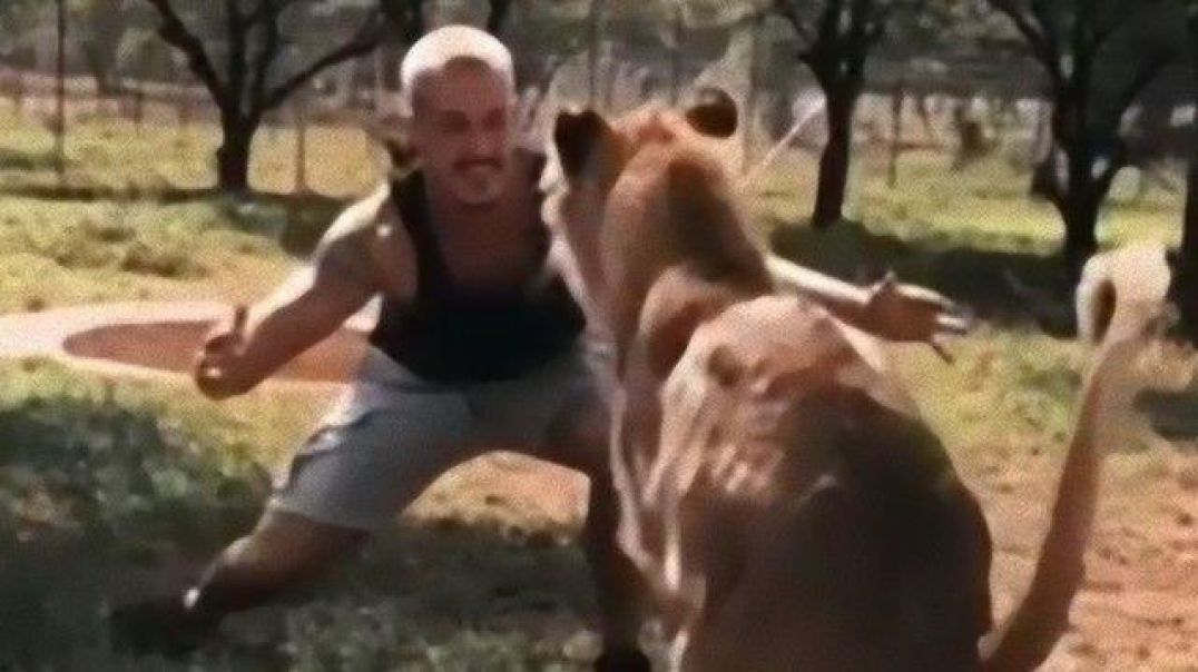 Dexter The Lion Greets The Man Who Raised Him At A Wildlife Sanctuary