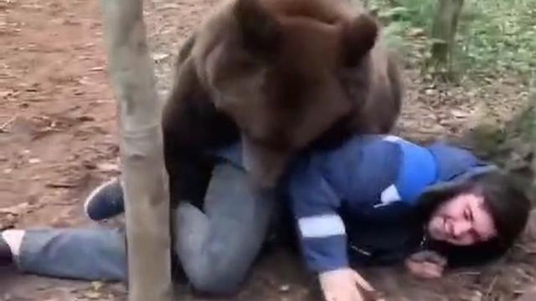 An ordinary day in the Russian forest. The bear just needs a hug.