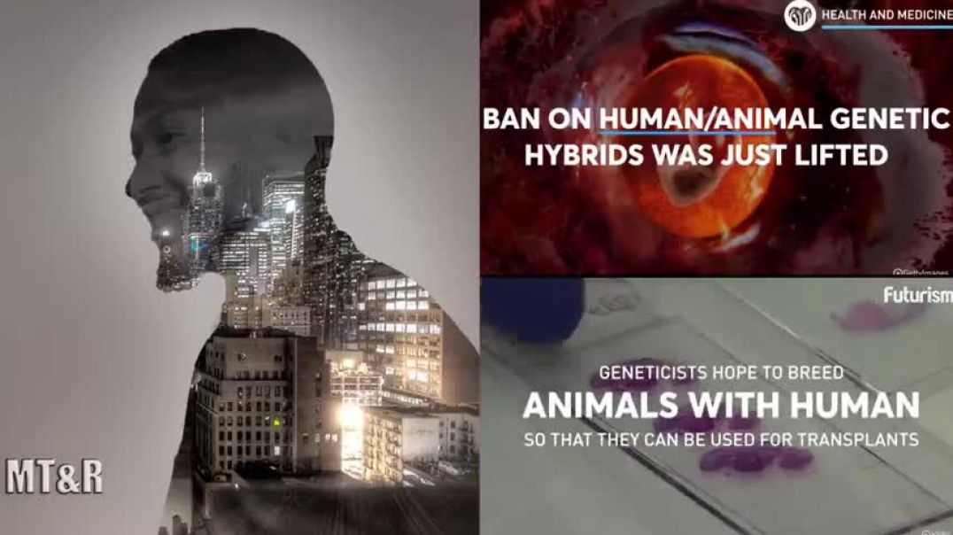 US GOVERNMENT LIFTS BAN ON HUMAN / ANIMAL GENETIC ENGINEERING! | VIDEO AND DISCUSSION