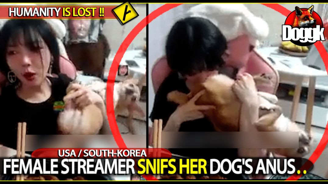 FEMALE STREAMER SNIFS HER " DOG'S ANUS ".. (USA / SOUTH-KOREA)