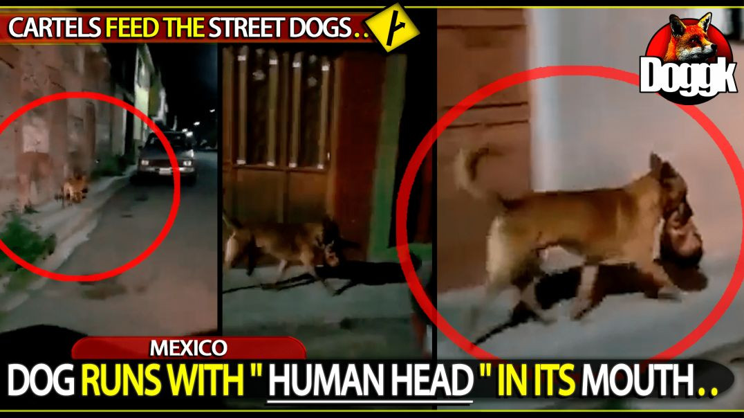 DOG RUNS WITH A " HUMAN HEAD " IN ITS MOUTH.. (MEXICO)