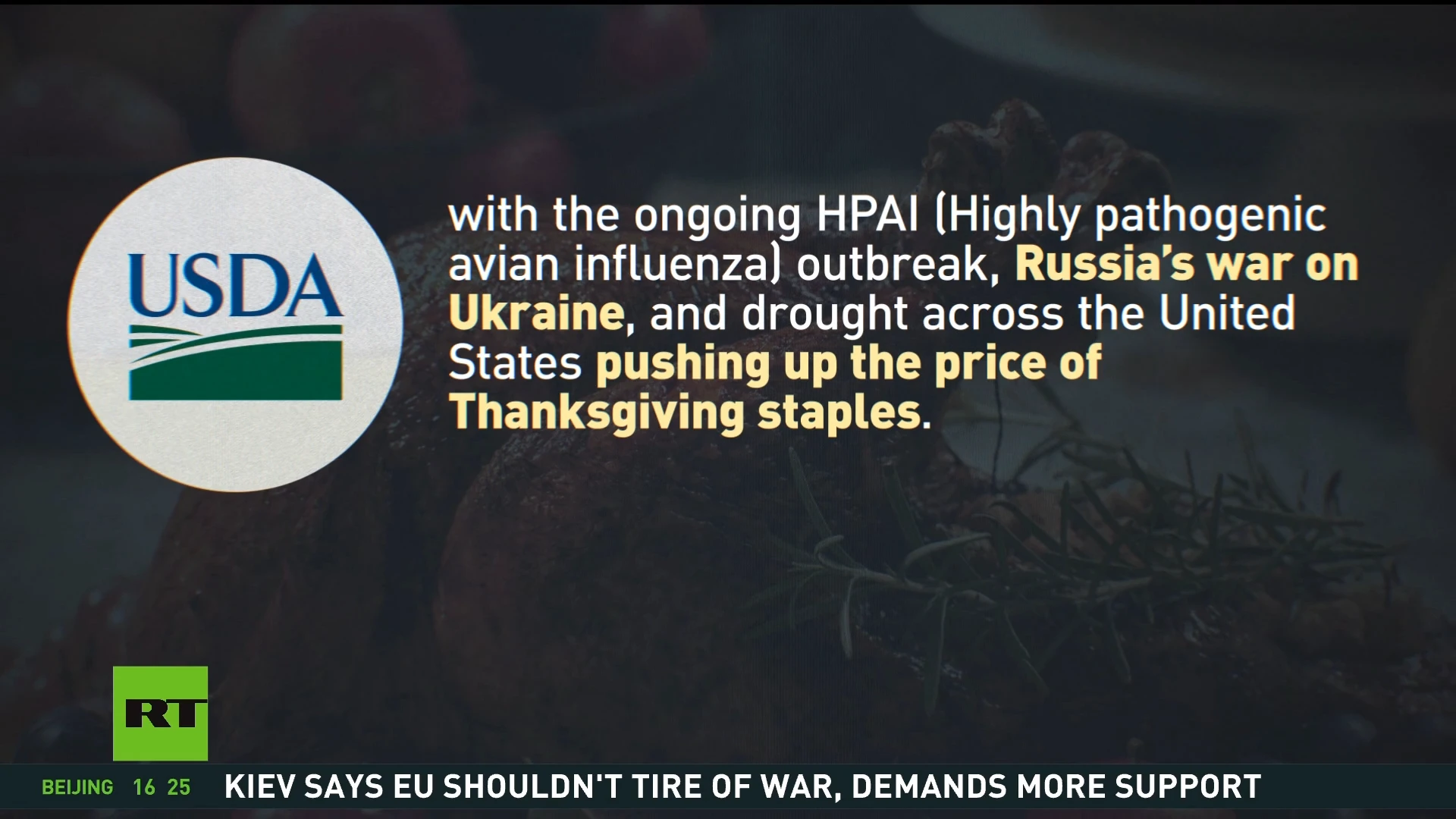 US tells families to blame Russia for pricey Thanksgiving dinners