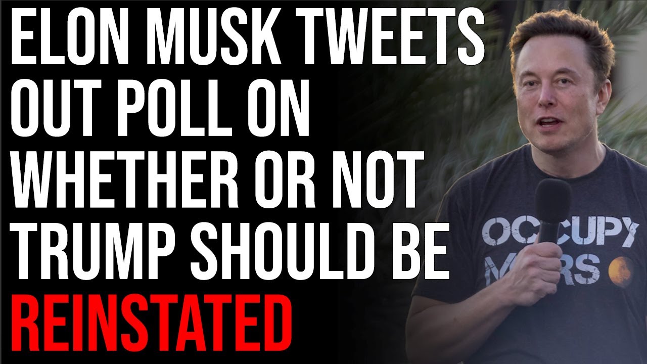 Elon Musk Tweets Out Poll On Whether Or Not Trump Should Be Reinstated