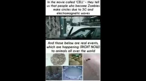 HUMANS & ANIMALS SYNCING W/ 5G ANTENNA ARRAY GOING IN CIRCLES- WHAT ARE WE SEEING?