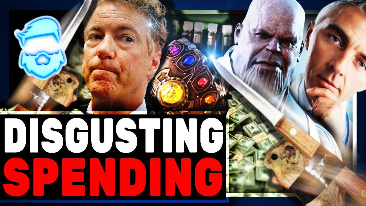 US Spent 3 Million On Hamster Fight Club & $180,000 Creating Real Life Infinity Gauntlet!