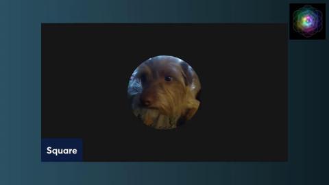 Morning Panelstream for anyone Mature that wishes to come up. Breaking down why I chose this.