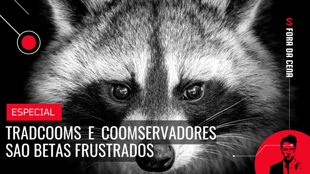 RaccooningRaccoon - TradCOOMs e COOMservadores sao BETAS frustrados