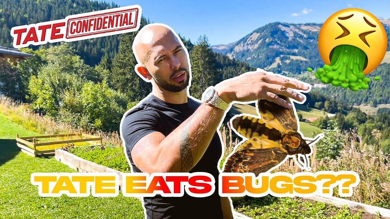 Eating bugs in the mountains | Tate Confidential Ep 167