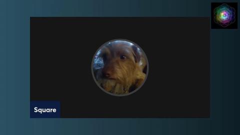 Filthy Animal 1-6 (Yt Channels) About them and why they must not grow and be reported