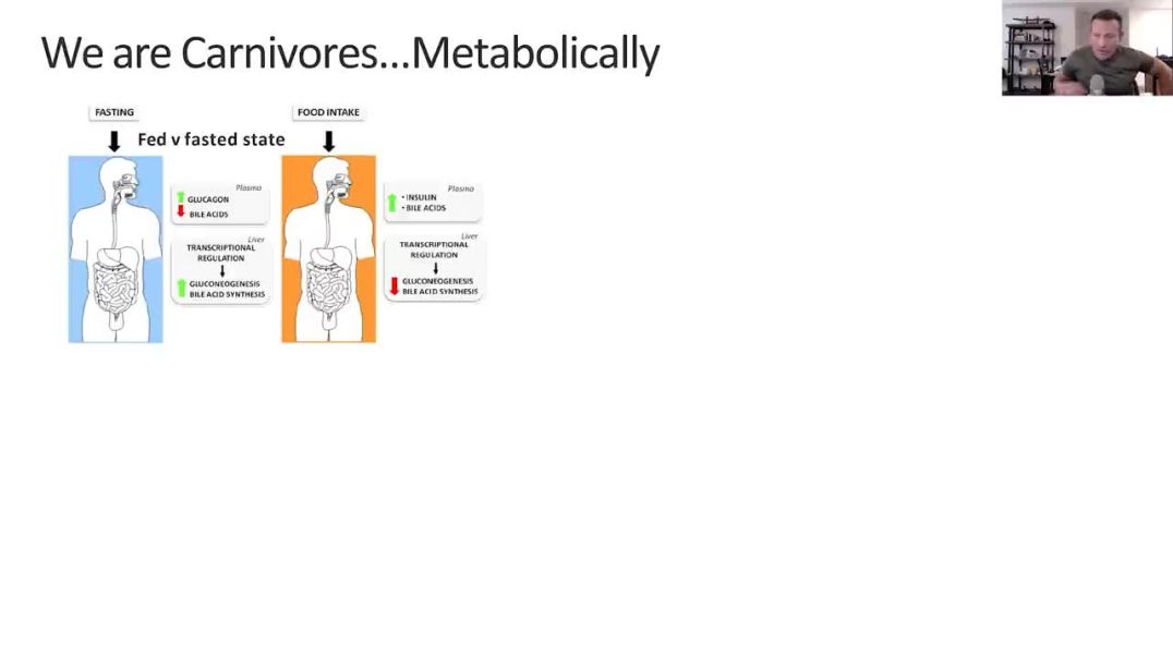 Why We Are Carnivore Slide Presentation, with Dr Anthony Chaffee