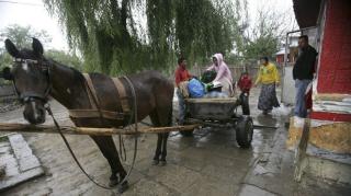 You don't know what a gypsy is? You do now.