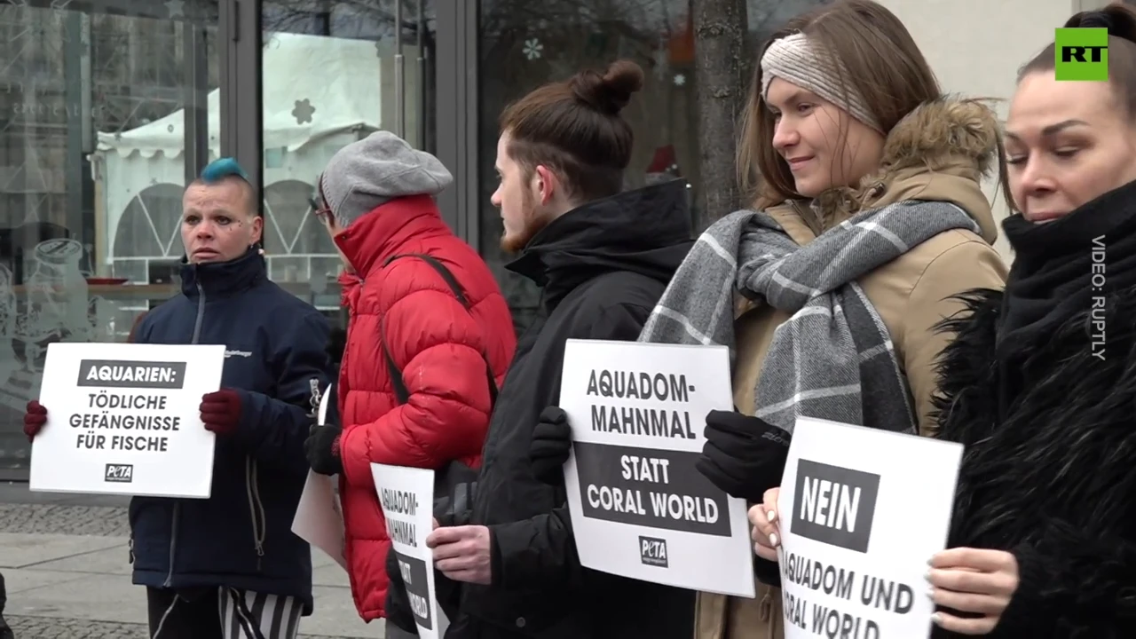 PETA activists hold memorial for fish killed in Berlin hotel display-tank explosion