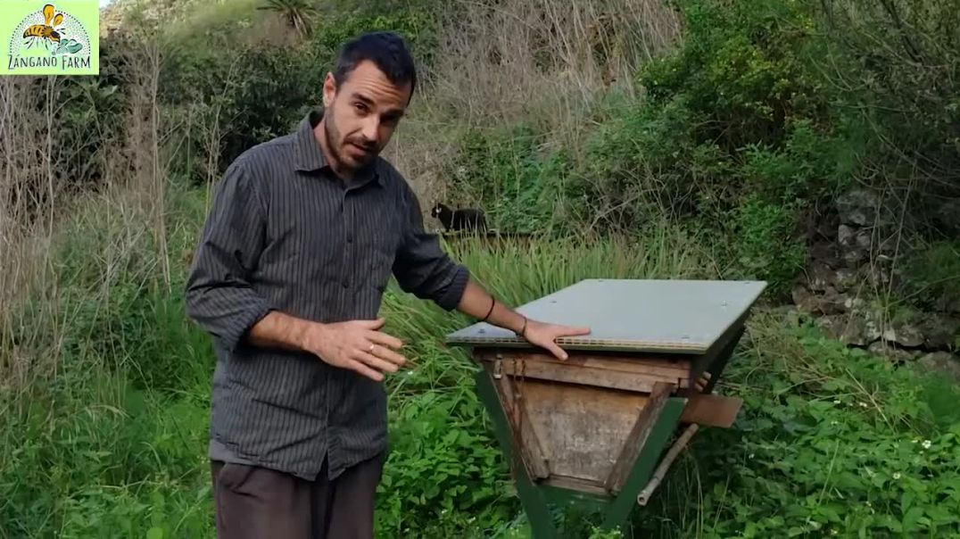 Natural Beekeeping Explained ~ The Kenyan Top Bar Hive