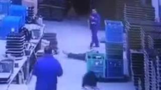 JANUARY 2023 ANOTHER CHINA MAN DOES THE RING AROUND THE ROSIES DEATH SPIRAL (IS IT DEMONS COMING TO COLLECT?)