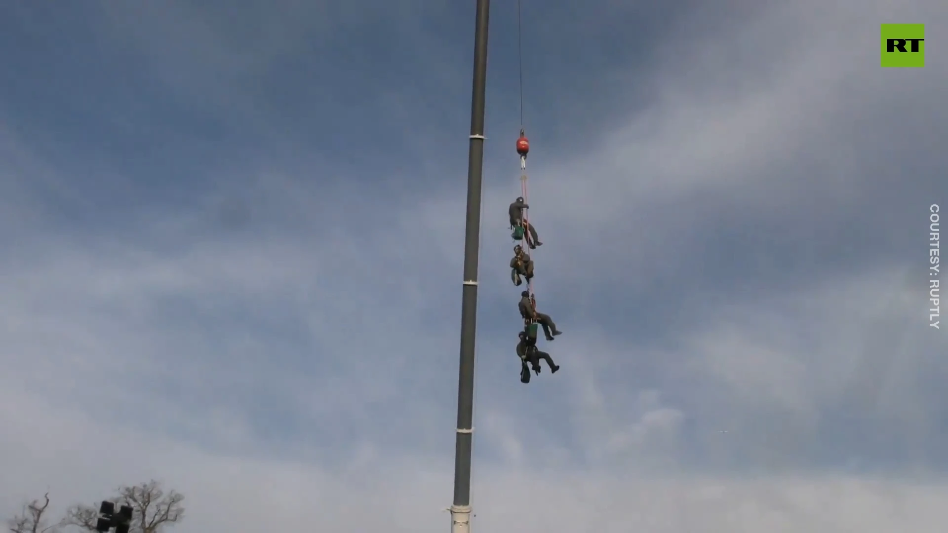 Police arrest anti-deforestation activists on trees