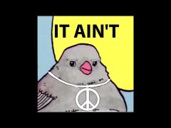 Virgin Dove VS CHAD Crow