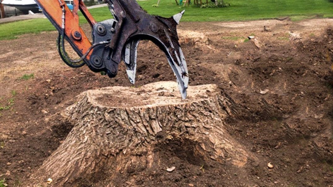 Extreme Dangerous Monster Stump Removal Excavator - Fastest Stump Grinding Machine Wood Working