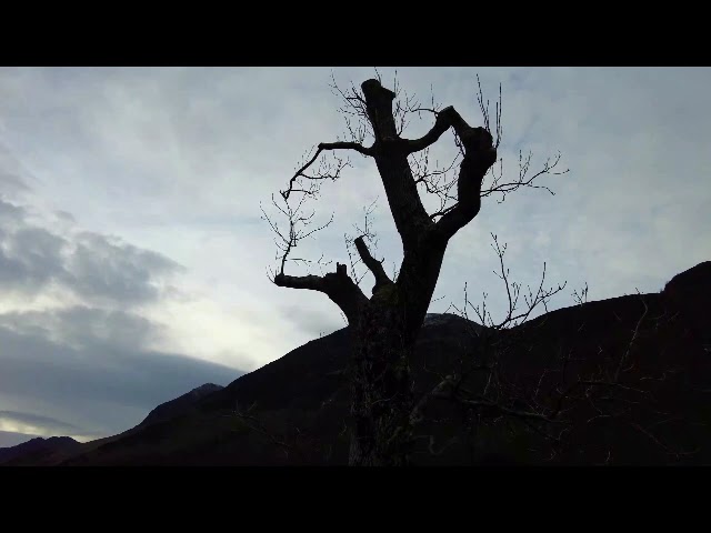 Buttermere lake district nature walk