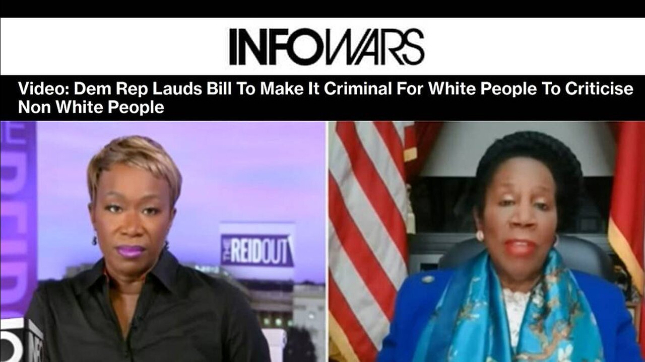 Video: Dem Rep Lauds Bill To Make It Criminal For White People To Criticise Non White People