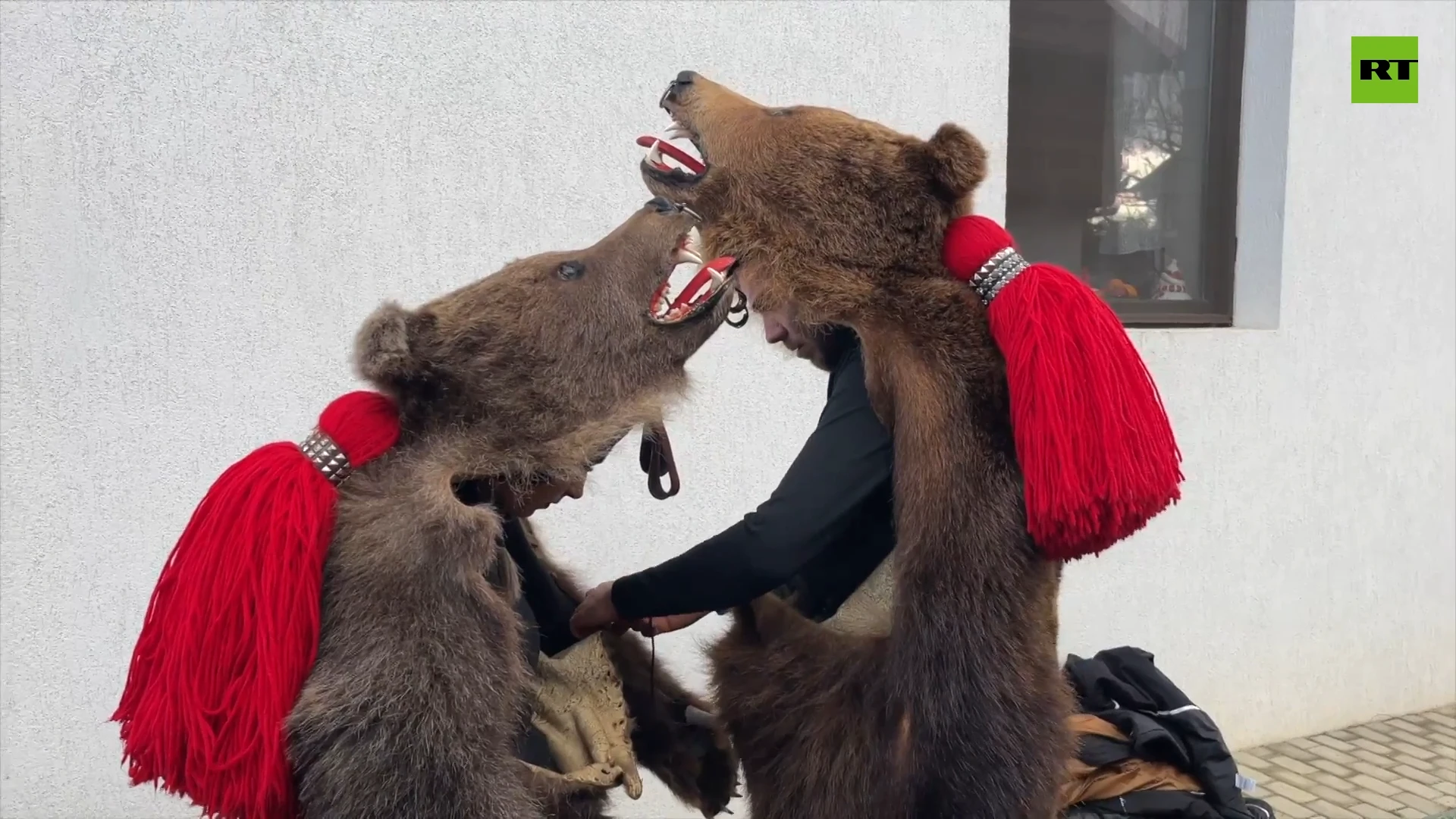 Romanian bear parade aimes to ward off evil spirits