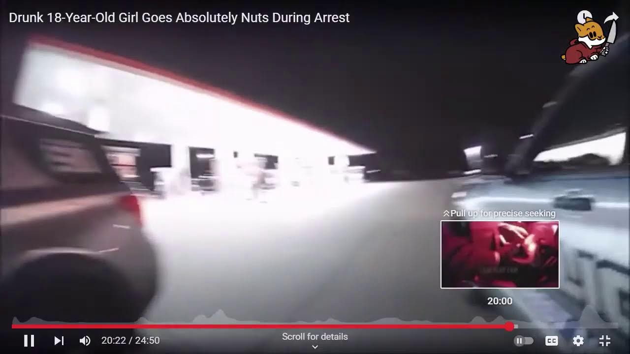 18 Year Old Woman Goes Crazy During Arrest: Or is there Something the Cops Missed?