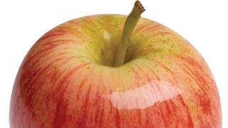 The Apple And The Frog Working