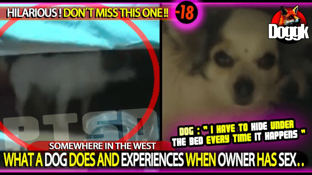 [+18] WHAT A DOG DOES AND EXPERIENCES WHEN OWNER HAS SEX.. >> HILARIOUS ! DON'T MISS THIS ONE ^^