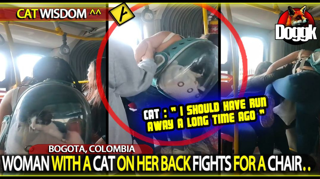 WOMAN WITH A CAT ON HER BACK FIGHTS FOR A CHAIR.. (BOGOTA, COLOMBIA)