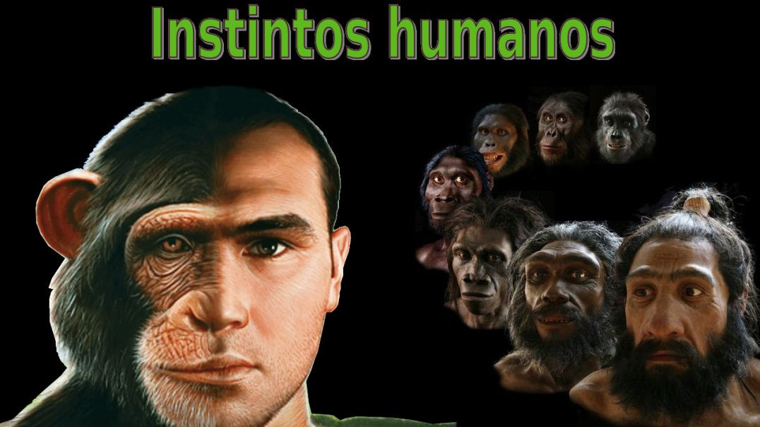 Instintos humanos