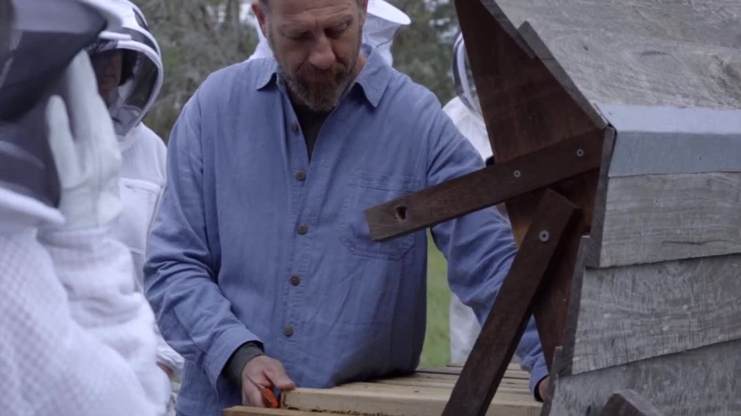 Why Use The Kenyan Top Bar Hive - Natural Beekeeping