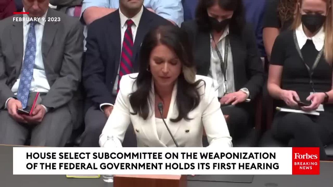 Tulsi Gabbard Makes Case For How Govt Agencies 'Are Being Weaponized Against Us' | Full Statement