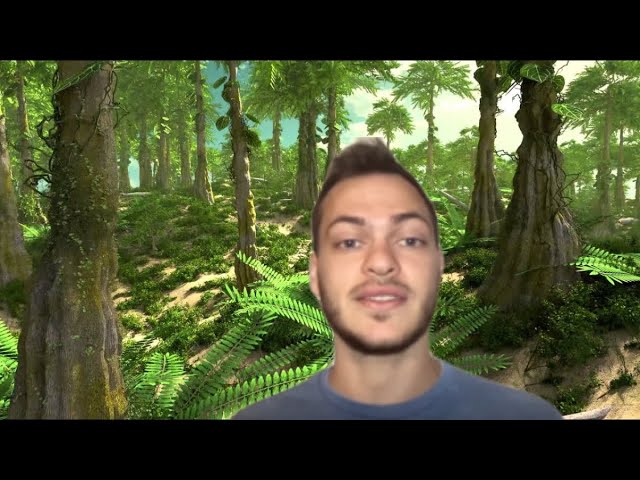 What were the First Forests Like? Evolution of Rainforests | Based Theory