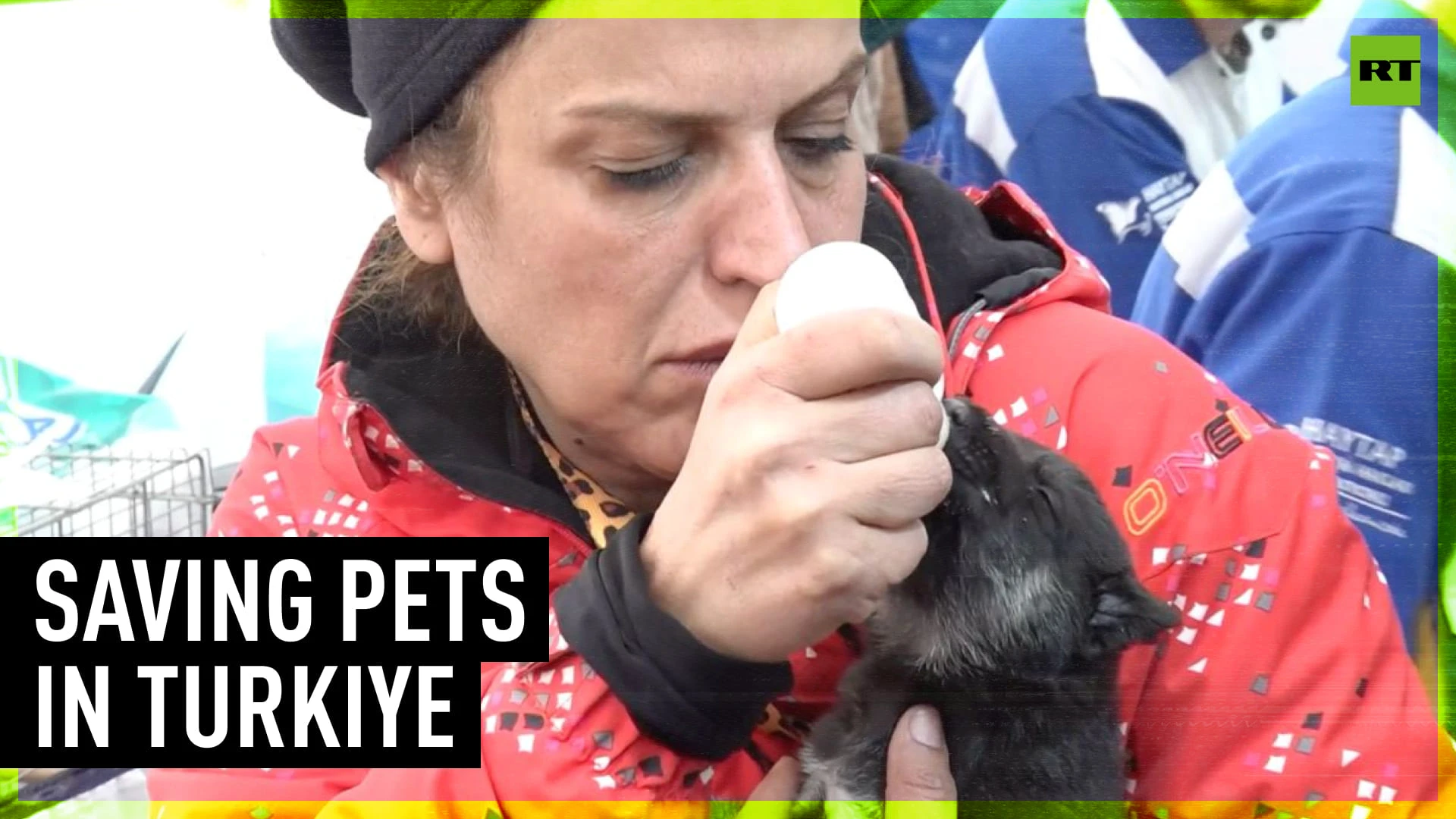 Animal rescue teams help hundreds of pets in Türkiye