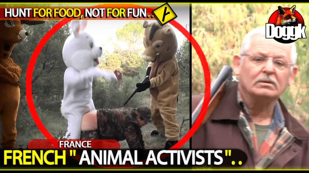 FRENCH " ANIMAL ACTIVITS ".. by REMI GAILLARD.. (FRANCE)