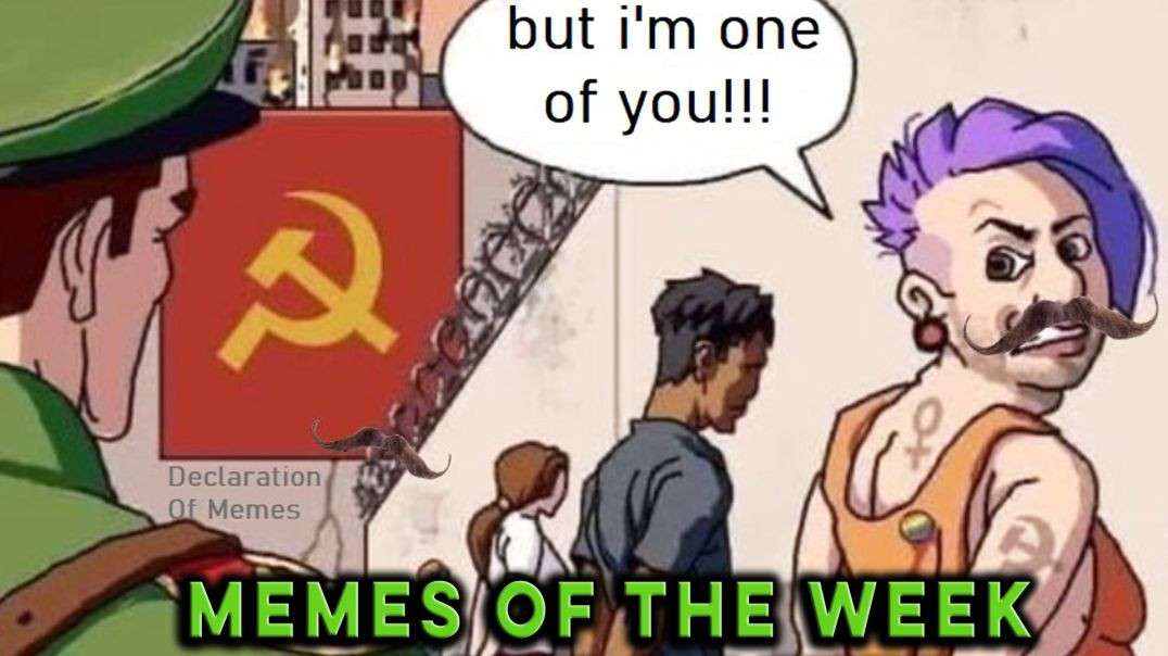 Memes Of The Week Episode #4 - MGTOW