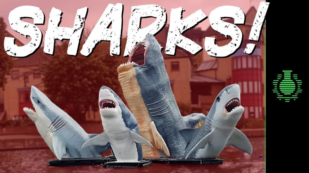 The Battle of SHARKS! and #Anarchitecture | CGP Grey