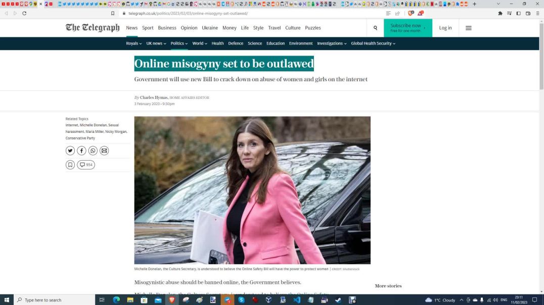 MGTOW UK Government Plans to ban "online misogyny" and my views on it