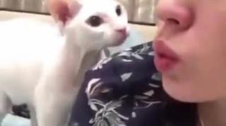 This cat wants no parts of the duck face. ?