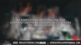 Dr. Robert Malone responds to Veretas latest report into Pfizer Director Jordon Walker