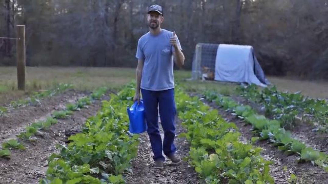 Grow Thousands of $$$ of Organic Produce (for $83)