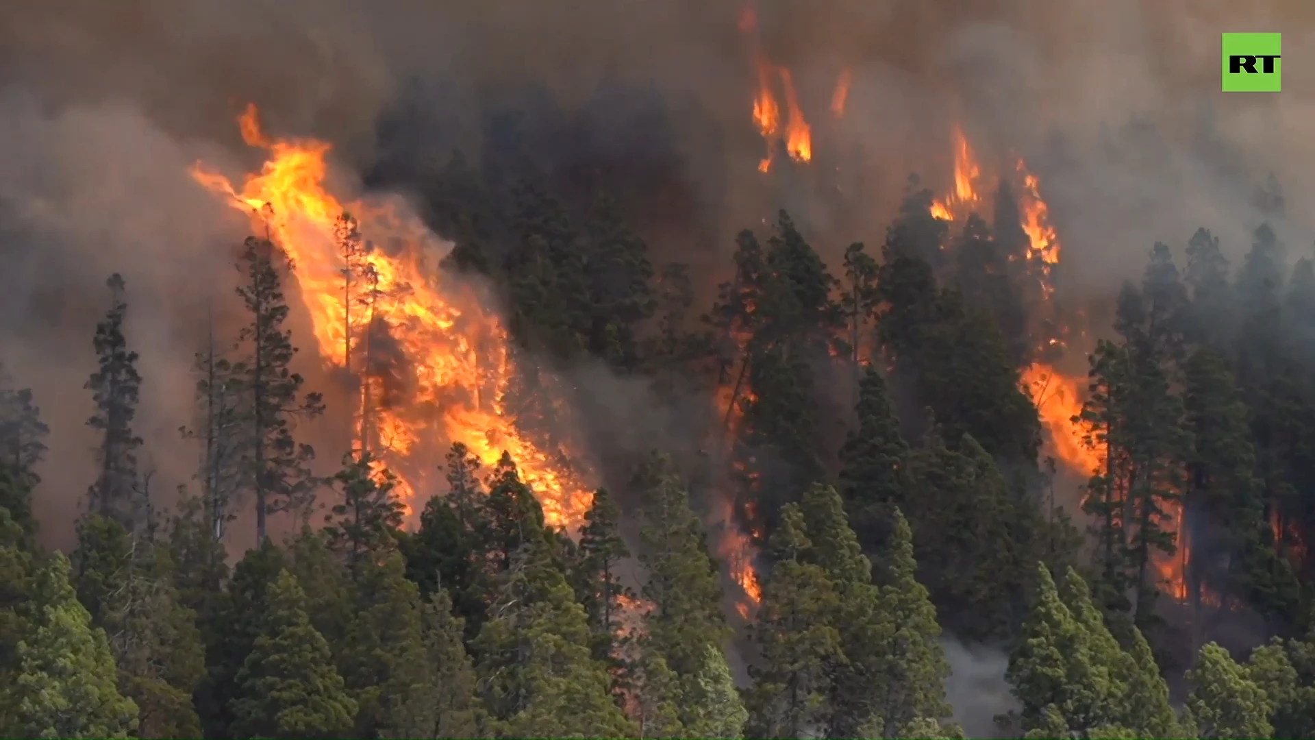 Wildfires ravage forests in Argentina