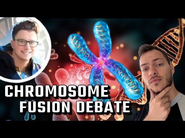 SFT Debates Chromosome Fusion | Evolution vs Creationism