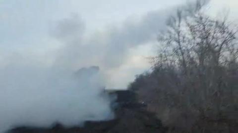 2_5213012818898463131