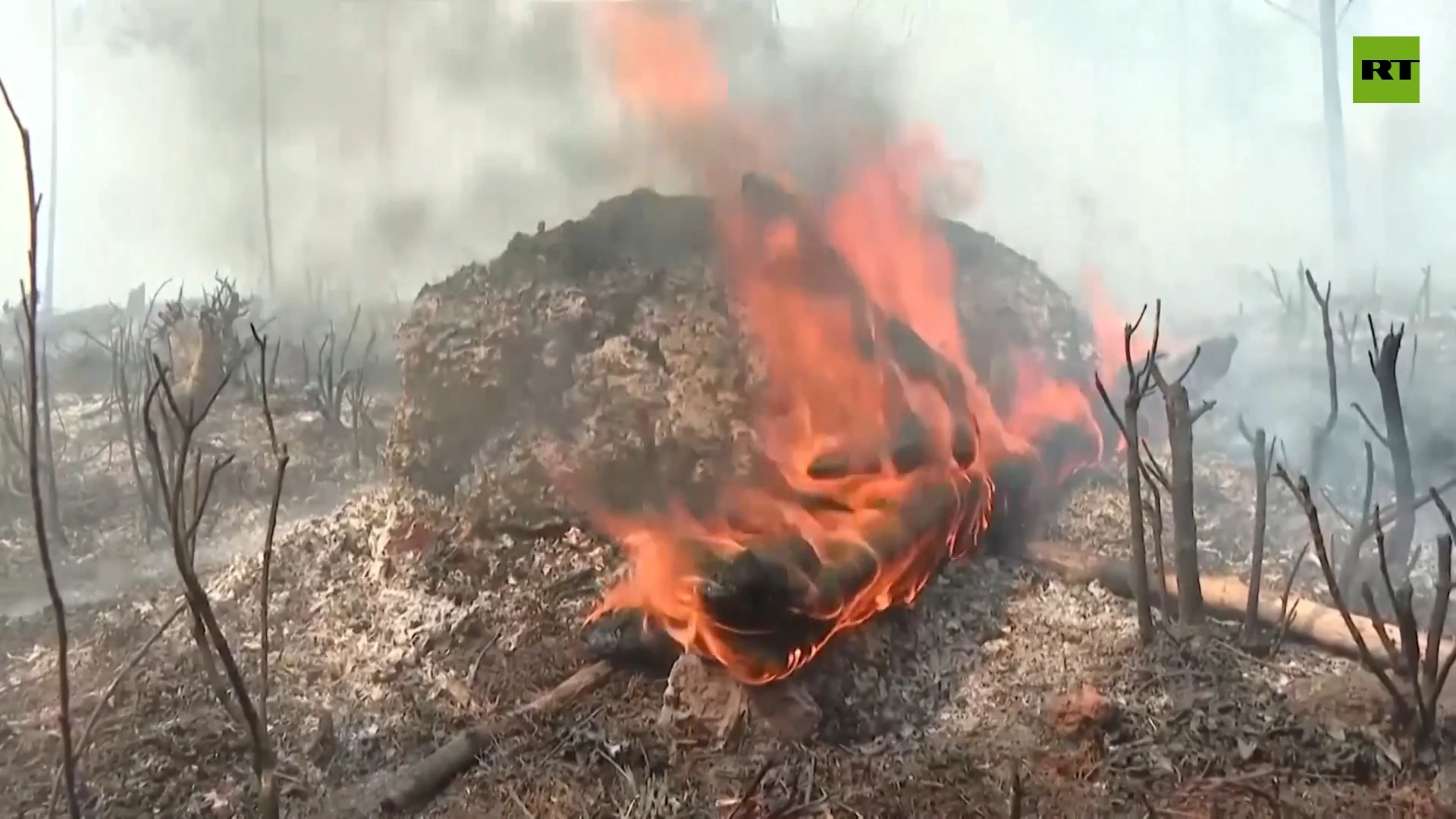 Major wildfire engulfs Cuba | Fire fighting operations continue