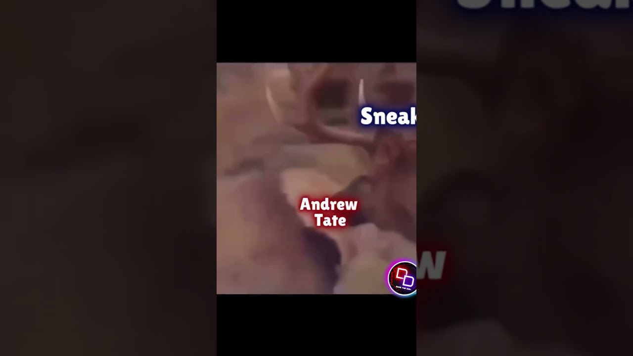 Cant Believe Andrew Tate did this to Sneako!?